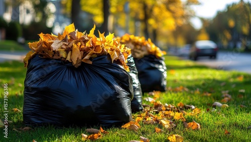 Black garbage bags filled with autumn leaves are lined up on a grassy sidewalk beside a residential street in fall.