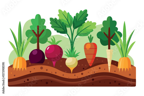 A colorful illustration of various root vegetables growing in the garden soil