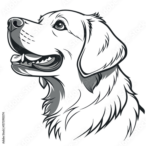 Close Up Profile of a Happy Golden Retriever Dog with its Mouth Open and Tongue Out