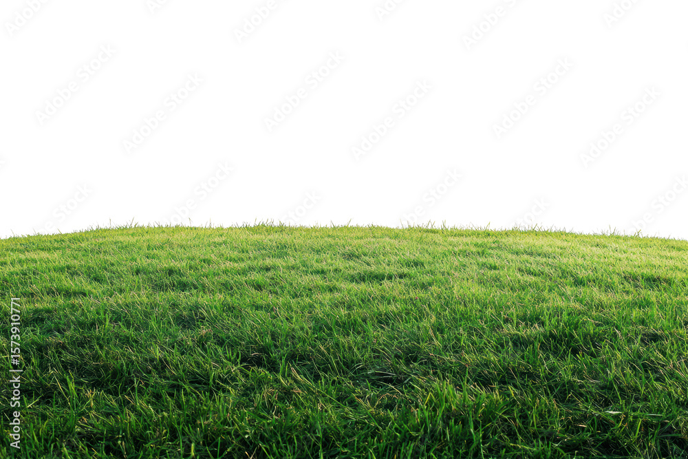 Obraz premium Green Grass Hill: Lush green grass hill isolated on white background, perfect for compositing or as a nature element. 