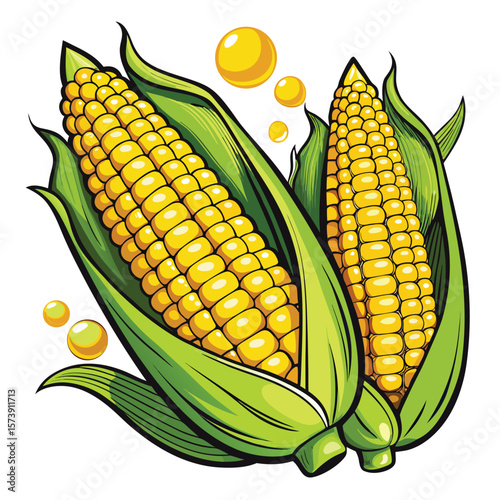 Fresh yellow corn on the cob, isolated on a white background, highlights a healthy, sweet, and ripe vegetable crop