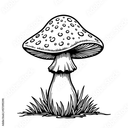 Abstract mushroom with spotted cap and grass, kids coloring book design
