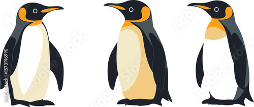 two penguins on a white background