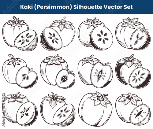 Persimmon Outlines Whole and Halved Kaki Fruit Line Art Graphics