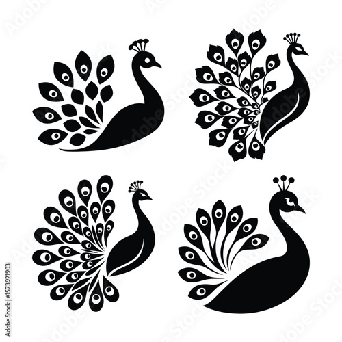 Peacock Silhouette.