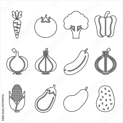Carrot tomato broccoli bell pepper garlic eggplant zucchini corn potato vector