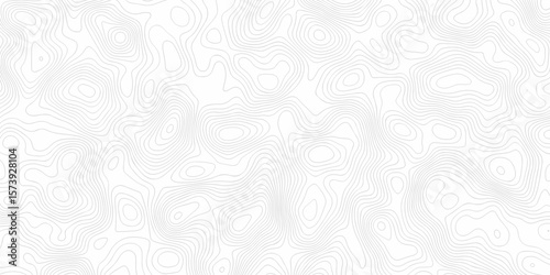 Abstract background with a wave grid map and topography map and seamless pattern with lines White wave paper curved reliefs abstract background, Abstract topographic contours map background.	
