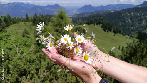 Explore Tyrolian traditions with flowers and the majestic mountains of Austria in stunning summer landscapes