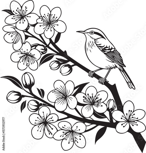 beautiful cherry blossom flowers And a beautiful Canyon Wren bird, vector illustration