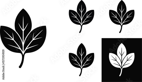 A monochrome illustration of three leaves with veins in a circular frame and square variations too