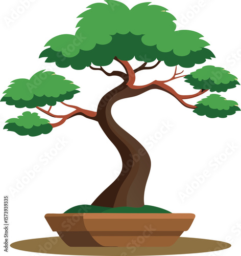 bonsai tree isolated on white