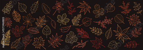Set of autumn leaves and branches from different trees: maple, oak, aspen, chestnut. Simple flat falling yellow, red, orange leaf. Vector illustration drawn in line art style on brown background