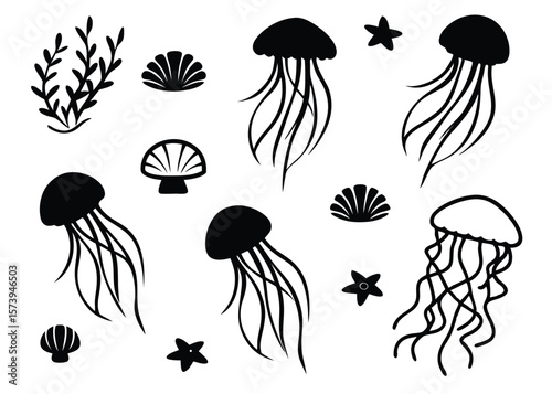 Black and white underwater elements jellyfish starfish seashells seaweed marine life vector graphics