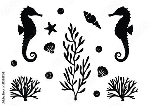 Black and white vector illustration of seahorses starfish seaweed and shells on white background
