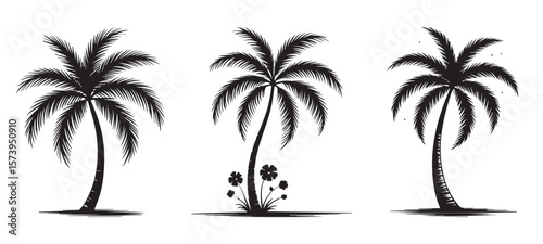 Palm Tree Silhouette Vector Set – Tropical Island Beach Elements