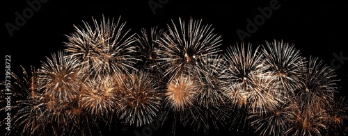 The spectacular display of vibrant fireworks illuminating the night sky.