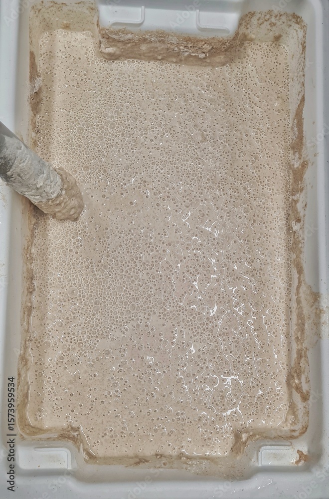 Fotografie Poolish Baguette Dough After Mixing
