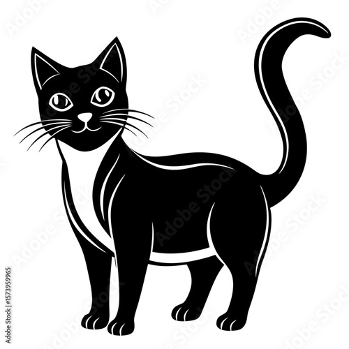 black and white cat