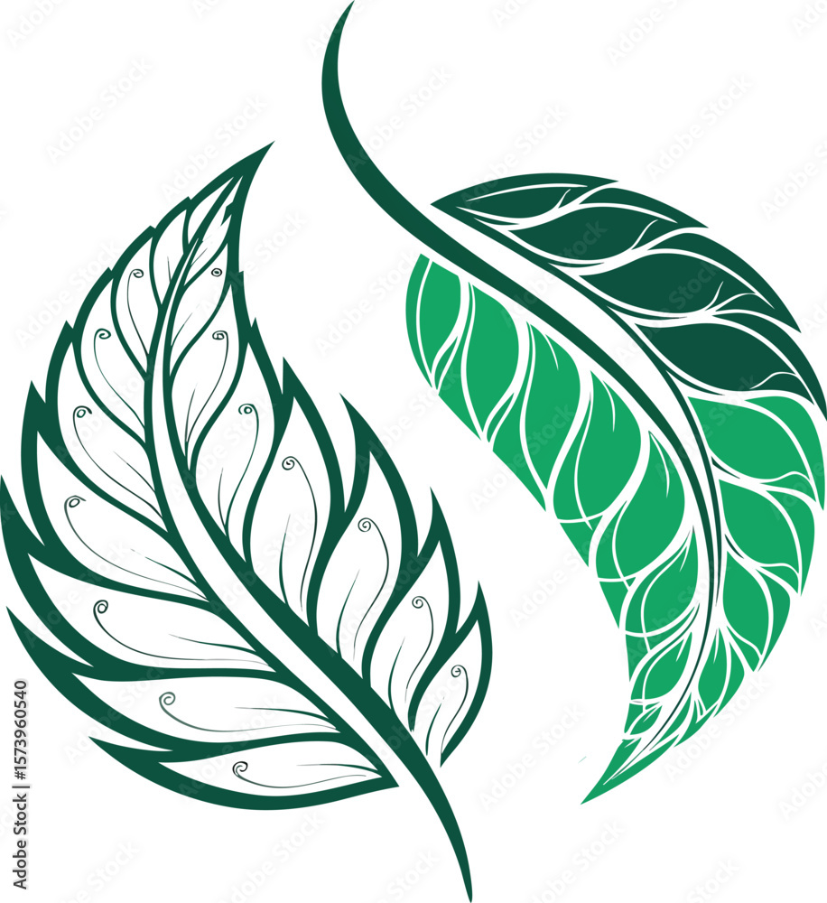 Obraz premium vector illustration of a leaf