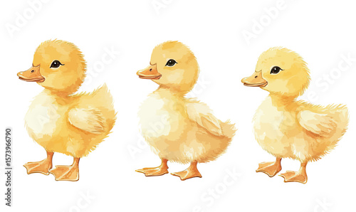 Three cute yellow baby ducklings standing side by side with fluffy feathers and orange beaks in realistic watercolor style illustration on white background