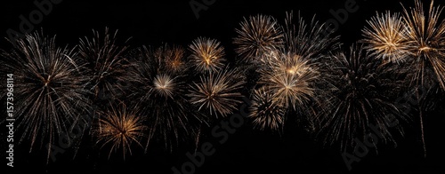The Spectacular Display of Colorful Fireworks Illuminating the Night Sky