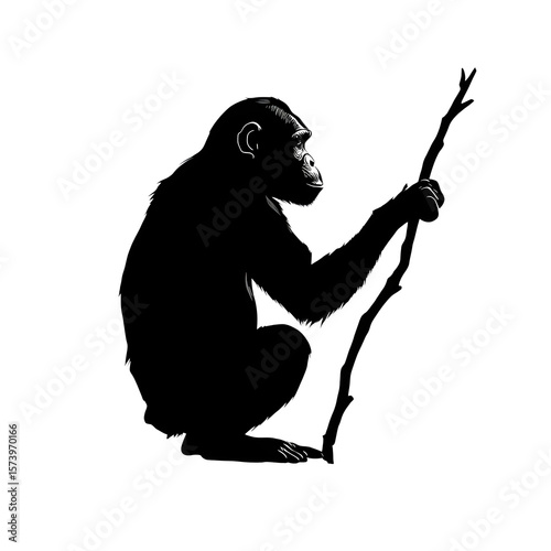  Silhouette of jungle chimpanzee holding branch, squatting pose, bold lines, isolated on transparent background
