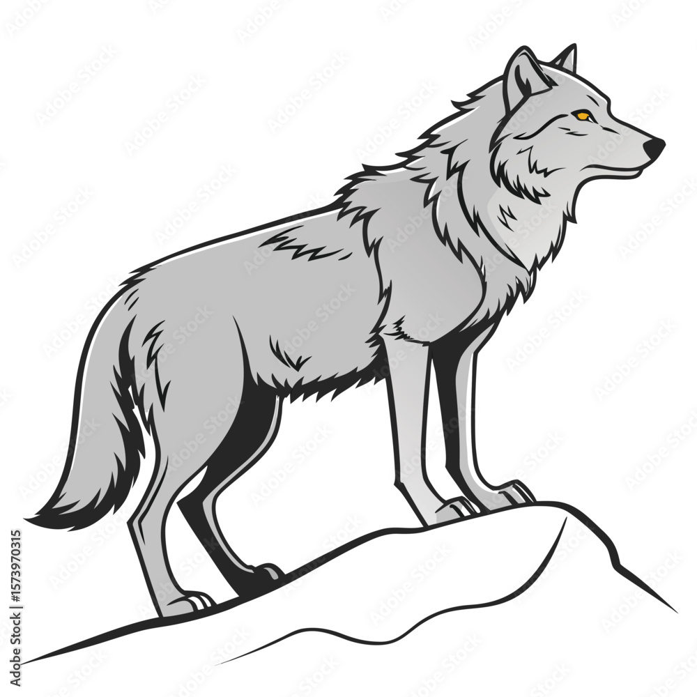 Fototapeta premium Gray Wolf Standing on White Hilltop Isolated white background