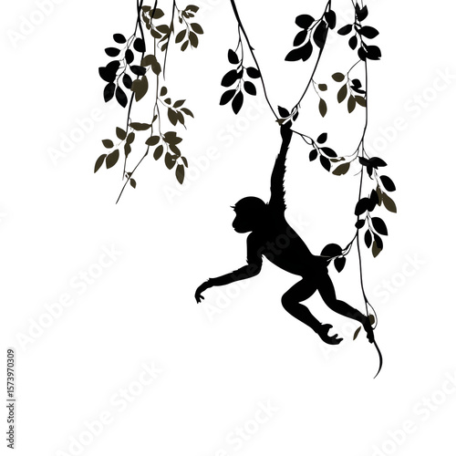 Silhouette of jungle monkey swinging mid-vine leap, limbs extended, isolated on transparent background