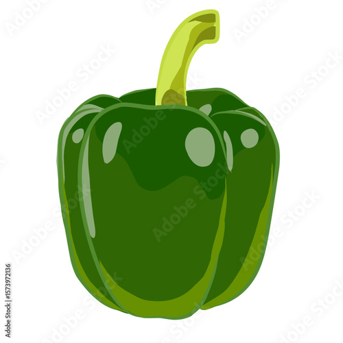 Fresh Green Bell Pepper SVG Vegetable Illustration