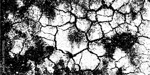 Cracked desert earth pattern with polygonal plates for textured background design