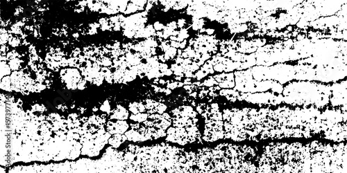 Abstract dried mud wall texture with straw fiber inclusion for rugged design