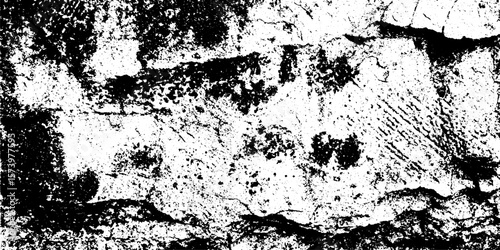 Weathered seashore rock with dried salt crust and crystal clusters texture background
