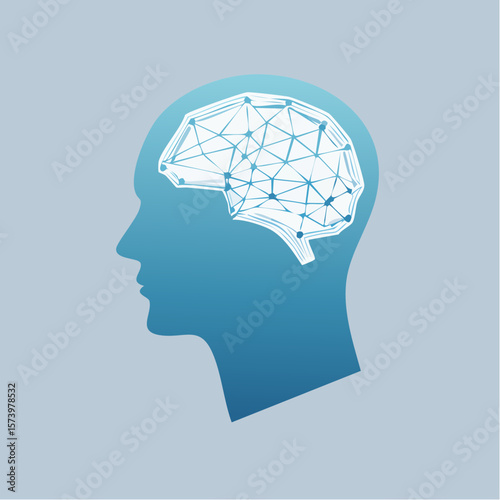 Human Brain Network Connections, Cognitive Function, and Neural Pathways