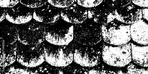 Weathered fish scale shingle roof with moss texture for rustic overlay and design