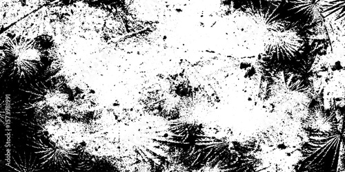 Frosty feather dendrite pattern on window pane for design and overlay effects