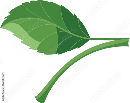 Illustration of a single shiny red cherry with a green leaf attached to a stem on a light background