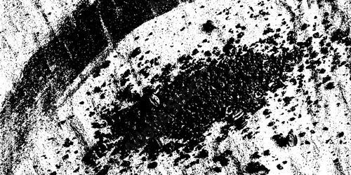 Granular coffee grounds scattered on paper with distressed texture for creative design