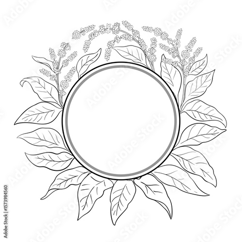 Amaranth Branch with Flowers and Leaves Outline Round Frame. Organic natural nutritional healthy food ingredient, vegetarian diet product. Vector isolated for design or decoration.