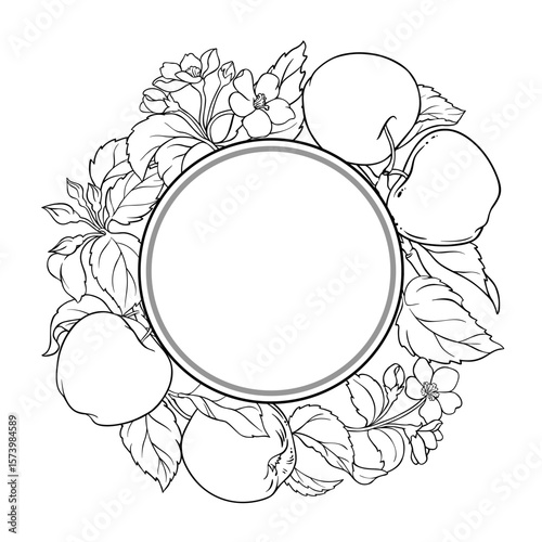 Apple Branch with Flowers, Fruits and Leaves Outline Round Frame. Organic natural nutritional healthy food ingredient, vegetarian diet product. Vector isolated for design or decoration.