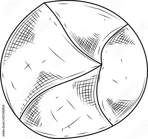 Chickpea Top View Hand Drawn Ink Sketch Vector