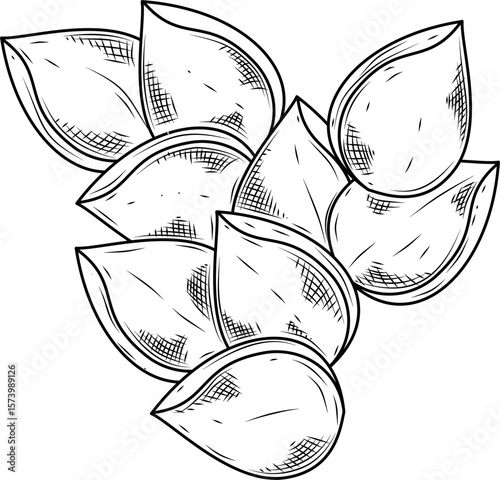 Roasted Chickpea Cluster Hand Drawn Ink Sketch Vector