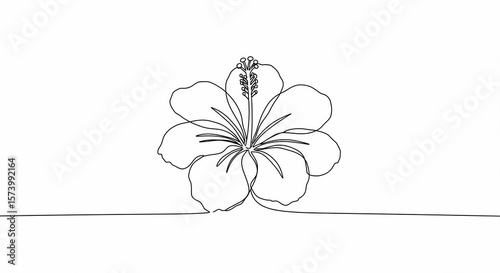 Elegant Single-Line Hibiscus Flower Drawing: Minimalist Botanical Illustration