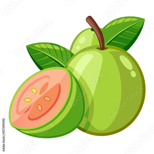Fresh Green Guava Fruit with Pink Flesh - Tropical Vector Illustration