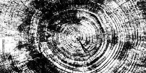 Concentric tree rings texture with split knot for design overlay or background
