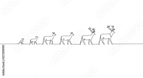 Continuous Line Drawing of Bird, Lamb, and Deer Progression