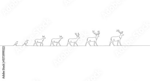 Line Art Evolution of Deer, from Bird to Stag