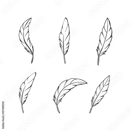 Feathers line art set vector