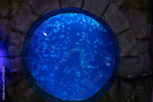 Aquarium