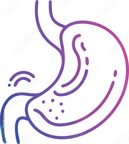 Detailed line art illustration of a human stomach showcasing internal anatomy and digestive system elements in a clean scientific and educational visual representation