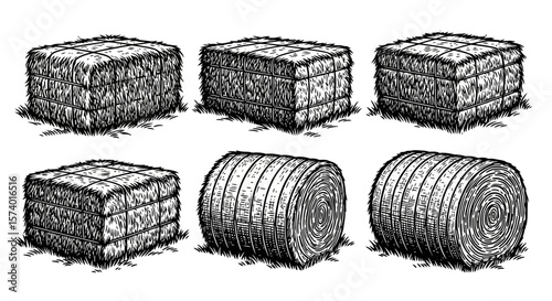 Black and White Hay Bales and Rolls Illustration with Detailed Engraving
